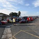 DSC_0004_00003 (August 19, 2023)